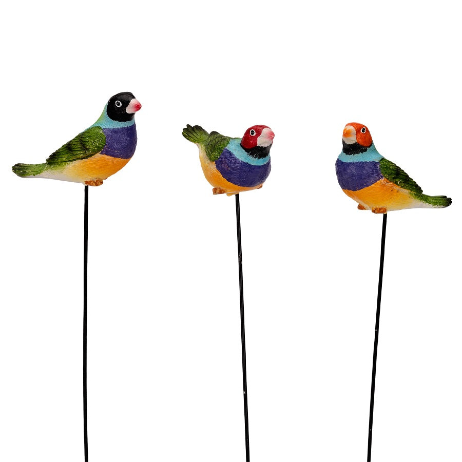 Gouldian Finch on a Stick